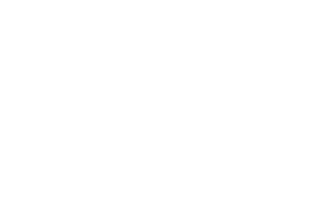 GC INK